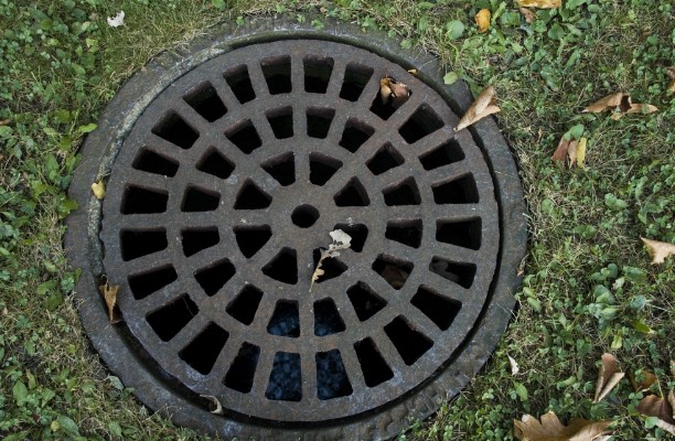 Common Sewer Issues & Practical Tips on Resolving Them Easily