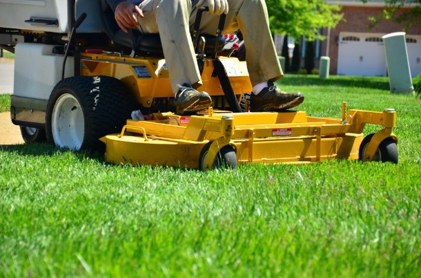 7 Tips for Maintaining a Beautiful Lawn with Minimal Upkeep