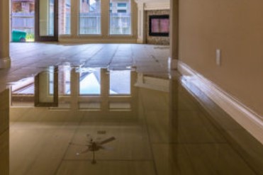 The Ripple Effect: Understanding the Importance of Swift Water Damage Repair